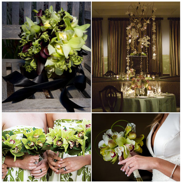 orchidea7